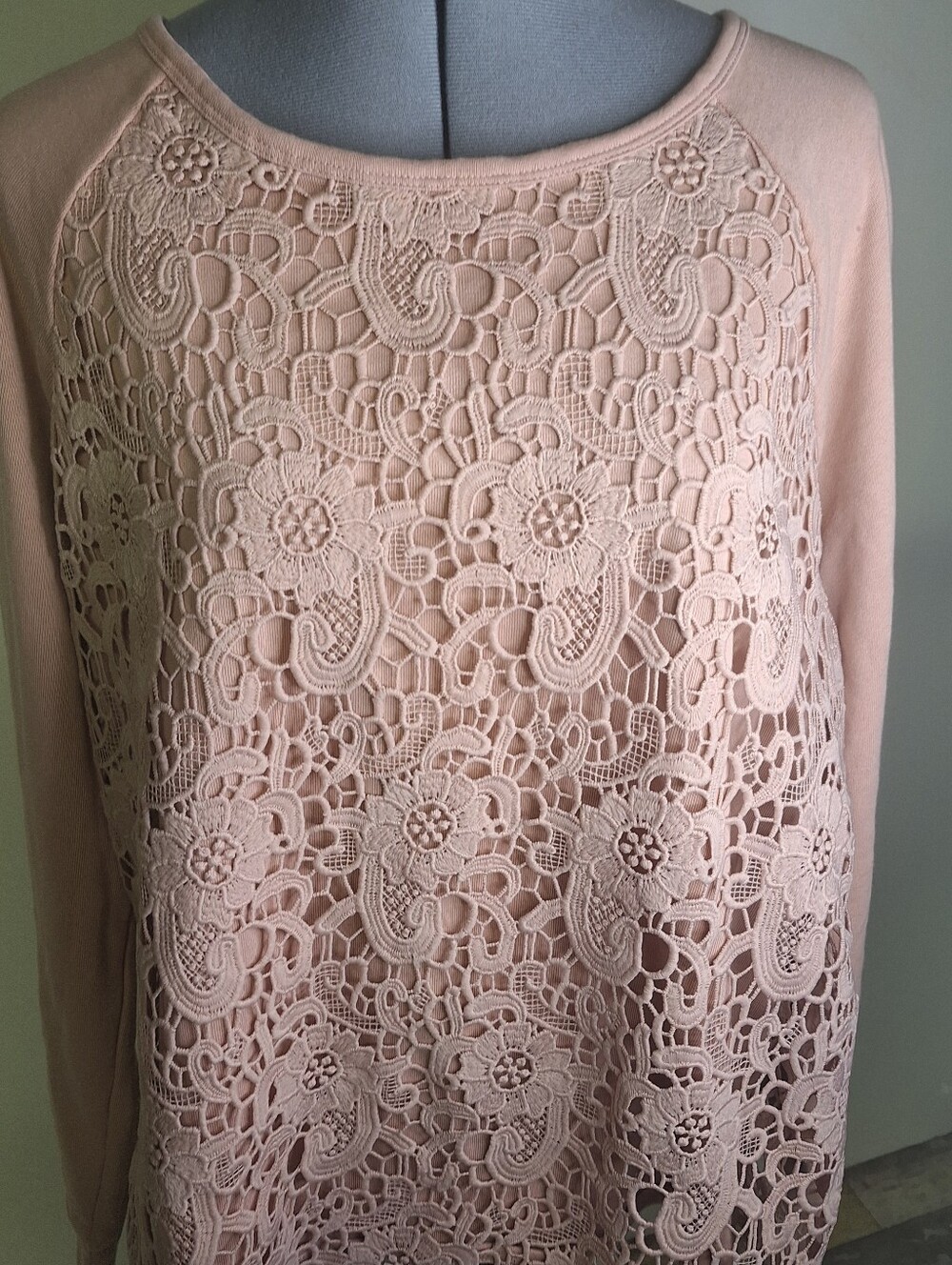 Adrianna Papell Blush Cotton Lace Front Long-Sleeve Top Size X L